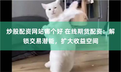 炒股配资网站哪个好 在线期货配资：解锁交易潜能，扩大收益空间